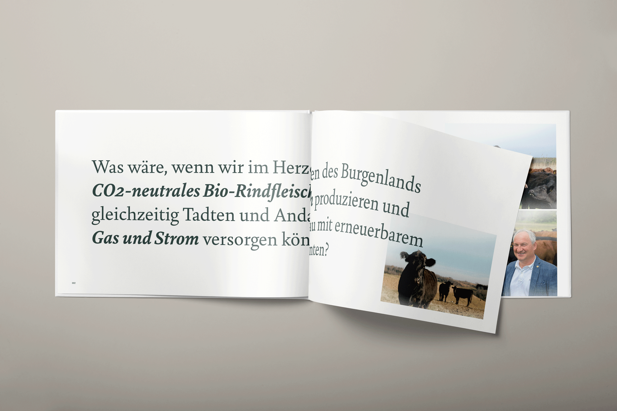 Die eierlegende Wollmilch Farm